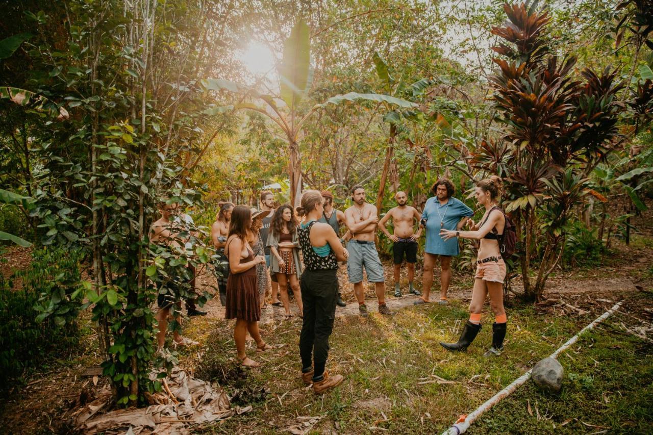 The Jungle Lodge At Kalu Yala Панама Сити Екстериор снимка
