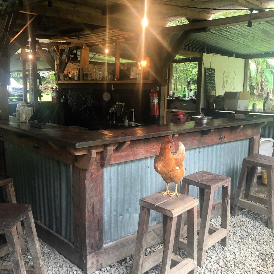 The Jungle Lodge At Kalu Yala Панама Сити Екстериор снимка