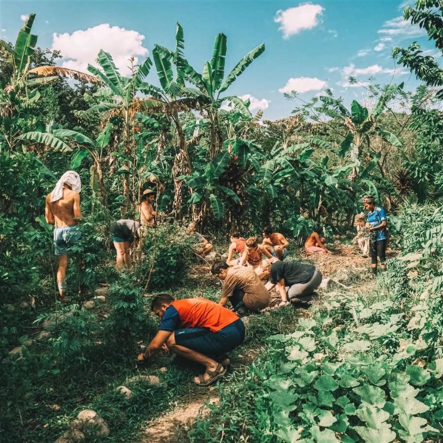 The Jungle Lodge At Kalu Yala Панама Сити Екстериор снимка