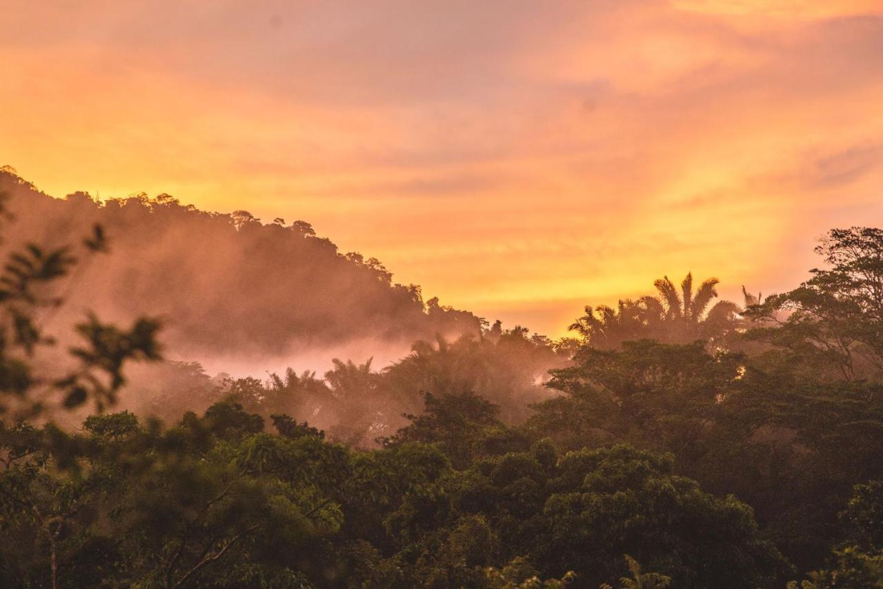 The Jungle Lodge At Kalu Yala Панама Сити Екстериор снимка