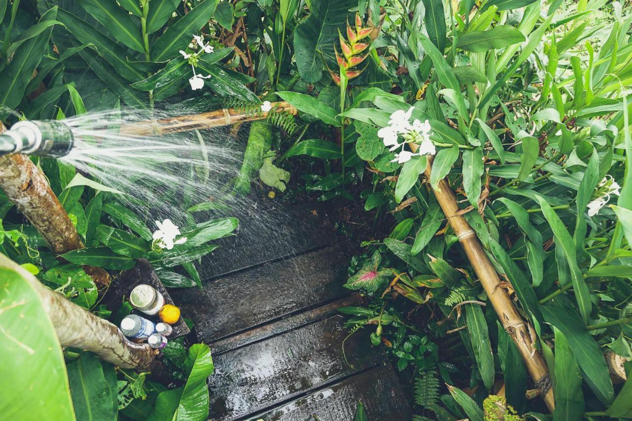 The Jungle Lodge At Kalu Yala Панама Сити Екстериор снимка